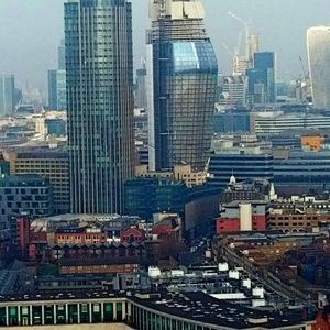 Meet your Posher, Sylvester